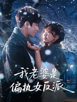 我老婆是偏执女反派海报