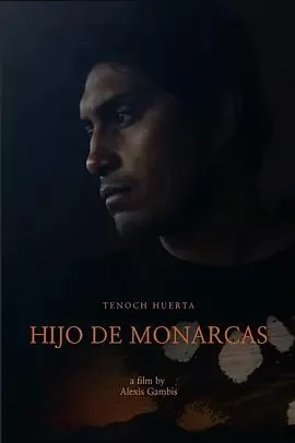 帝王蝶之子海报