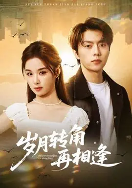 岁月转角再相逢海报