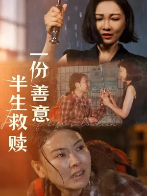 一份善意半生救赎海报
