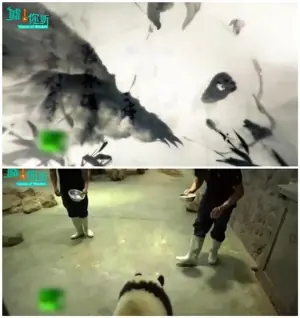 中国如何拯救大熊猫海报