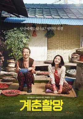 季春奶奶계춘할망海报