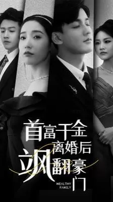 首富千金离婚后飒翻豪门海报