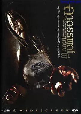 承诺[电影解说]海报