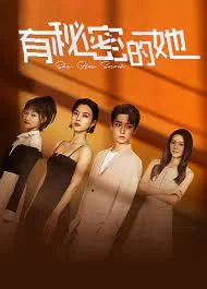 有秘密的她海报