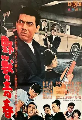 野兽的青春野獣の青春海报