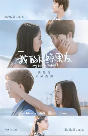 我的白鲸男友海报