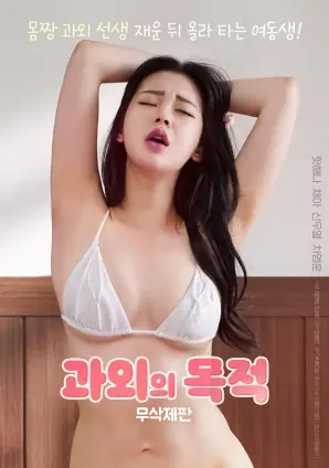 家教的目的海报