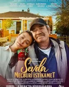 爱的强制方向海报