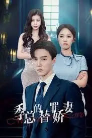 季总的变身娇妻海报