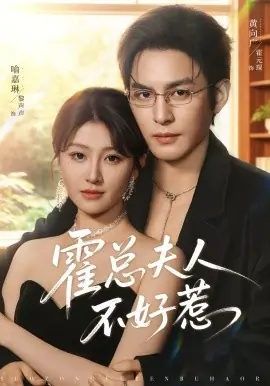 霍总夫人不好惹海报