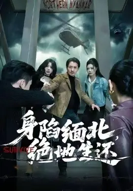 身陷缅北,绝地生还海报