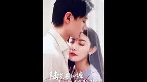 陆总别纠缠,姜小姐另有新欢海报