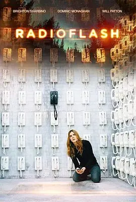 电磁脉冲Radioflash海报