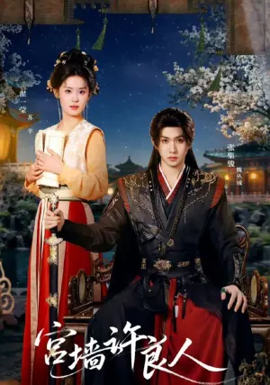 宫墙许良人海报