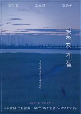 被遗忘的季海报