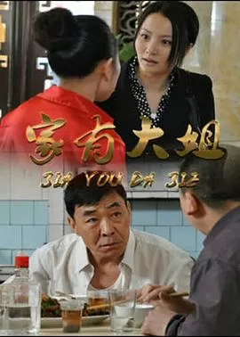 家有大姐[电影解说]海报