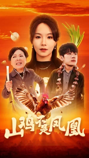 山鸡不是凤凰海报