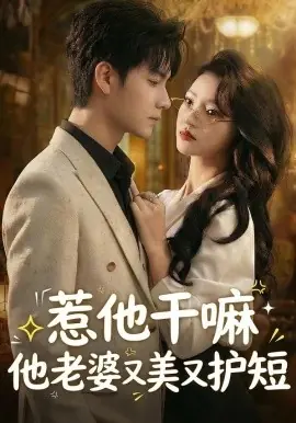 惹他干嘛他老婆又美又护短海报