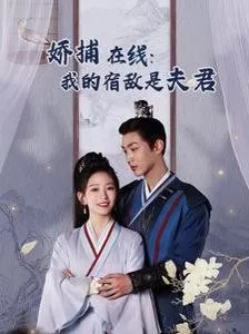 妖捕在线我的宿敌是夫君岁岁有余年海报