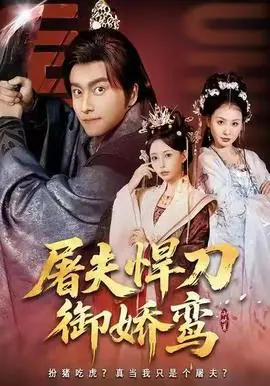 屠夫悍刀御娇鸾海报