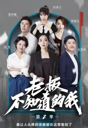 老板不知道的我第二季海报