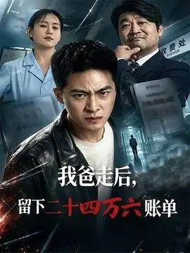 我爸走后,留下二十四万六账单海报