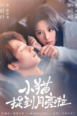 小猫捉到月亮啦海报