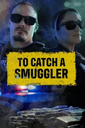 缉私档案第二季海报