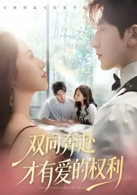 双向奔赴才有爱的权利海报