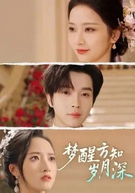 梦醒方知岁月深(梦醒时你在我身侧)海报