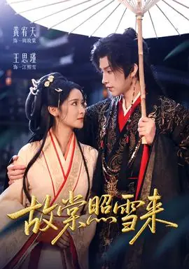 故棠照雪来海报