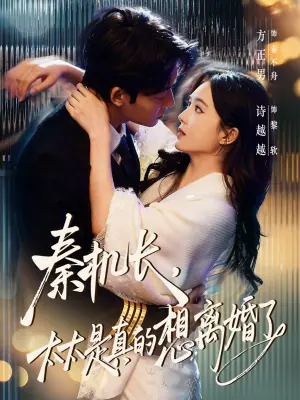 秦机长,太太是真的想离婚了海报