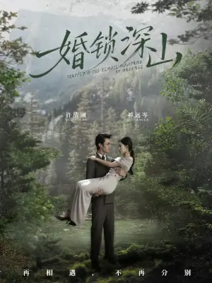 婚锁深山深情为饵深山为牢海报