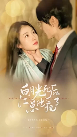 白月光死后江总他疯了海报