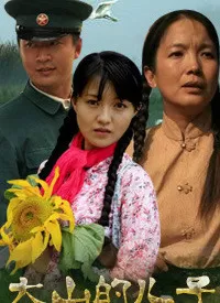 大山的儿子海报