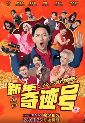 新年奇迹号海报