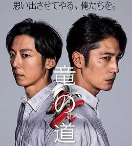 龙道双面复仇者海报