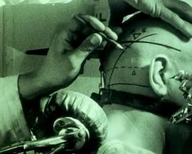 疾风之赛道宝贝海报