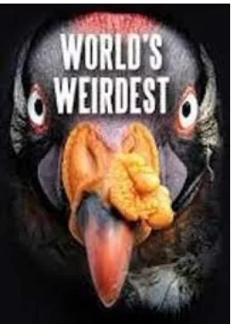 奇形怪物第一季海报