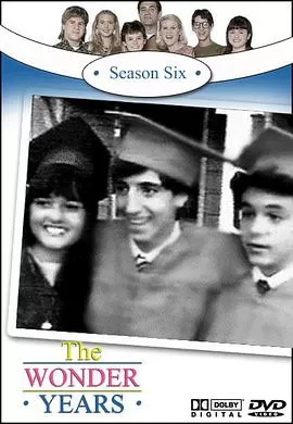 纯真年代第六季海报