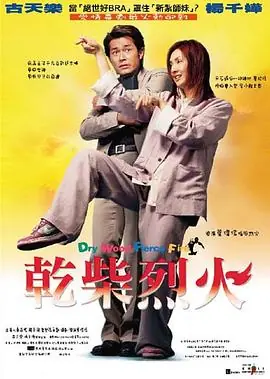 干柴烈火(粤语)海报