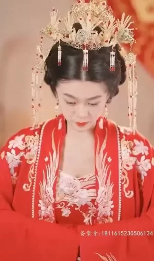 替嫁娇妻又凶又野海报