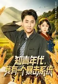 知青年代,我有一个暴击系统海报