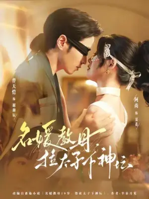 名媛教母,拉太子下神探海报