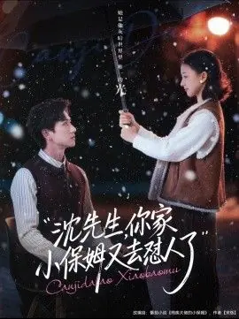 沈先生,你家小保姆又去怼人了海报