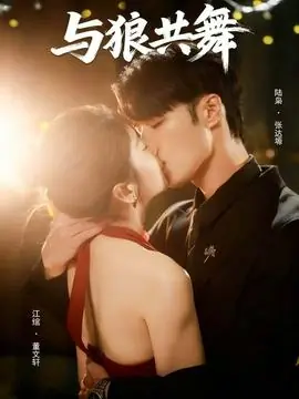 与狼共舞海报