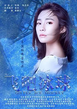 飞吧冰球海报
