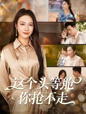 这个头等舱你抢不走海报