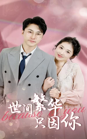 世间繁华只因你海报